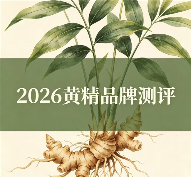 哪个品牌黄精口味好？什么品牌黄精深受食客认可？优选高品质2026